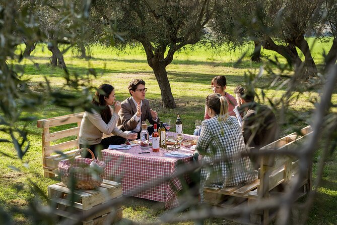 2-Hour Picnic among the Olive Trees with Typical Abruzzese Products - Walking to the olive grove in the Nature Reserve
