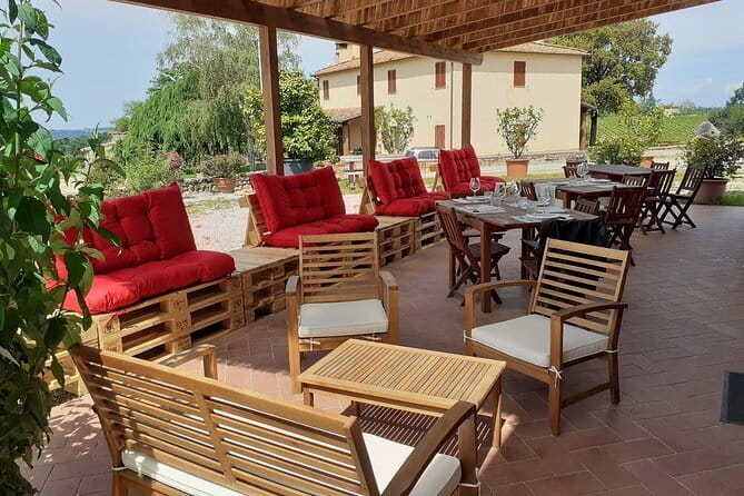 4 Wines & 2 Olive Oils Tasting in Chianti Winery with Tour - A family welcome makes the visit personal