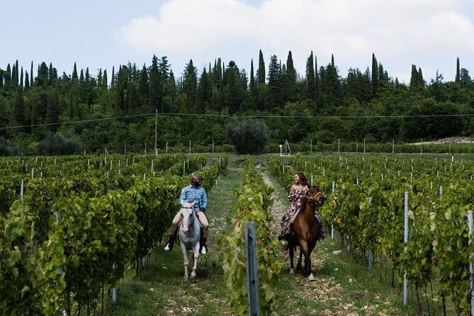 4 Wines & 2 Olive Oils Tasting in Chianti Winery with Tour - Is $43.21 a fair price?