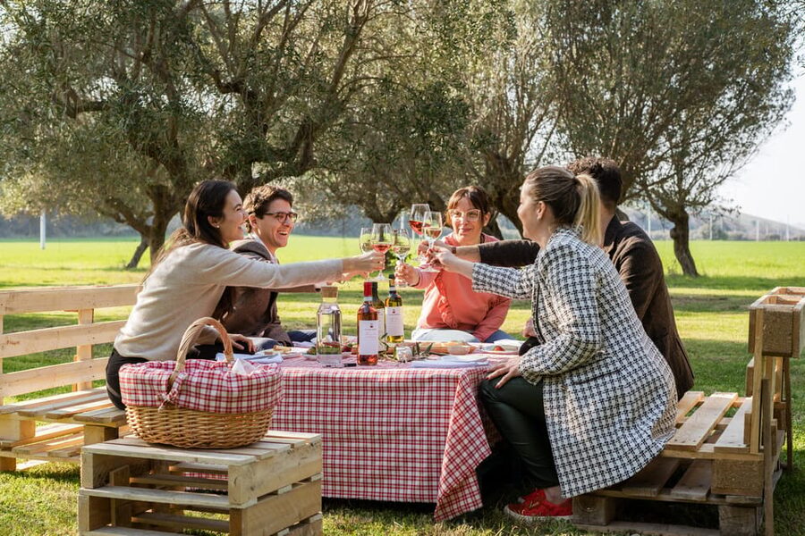 Abruzzo: Country Picnic in an Olive Grove at a Winery - Touring the Historic Winery and Barrel Room