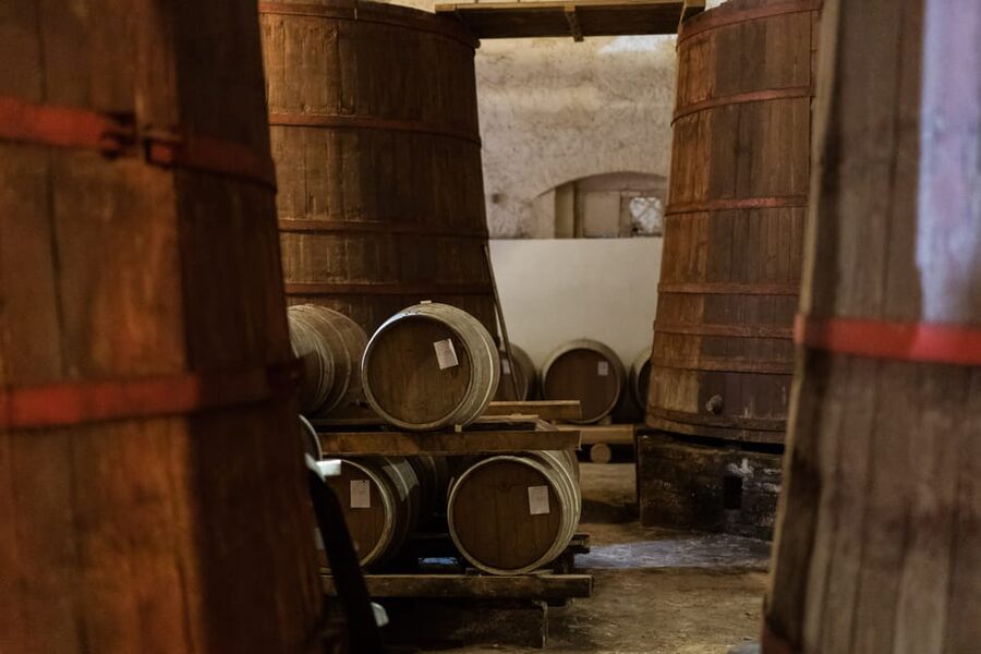 Abruzzo: Country Picnic in an Olive Grove at a Winery - What the Strongest Feedback Tells You