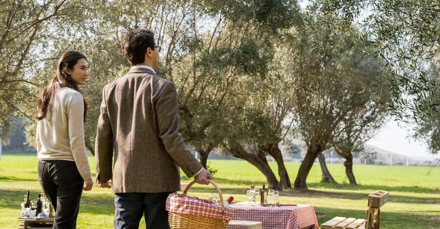 Abruzzo: Country Picnic in an Olive Grove at a Winery - Who Will Enjoy This Olive Grove Picnic
