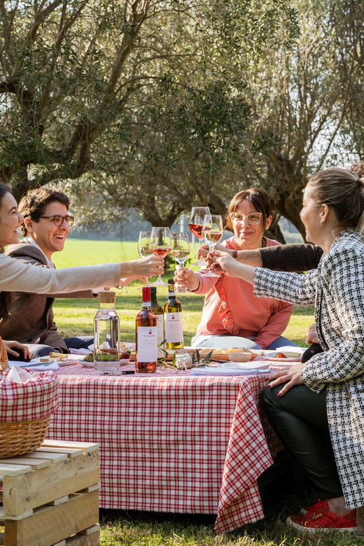 Abruzzo: Country Picnic in an Olive Grove at a Winery - Booking, Timing, and Cancellation