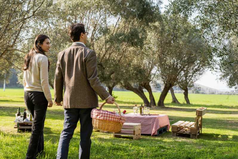 Abruzzo: Country Picnic in an Olive Grove at a Winery - Finding Your Place Among the Olive Trees