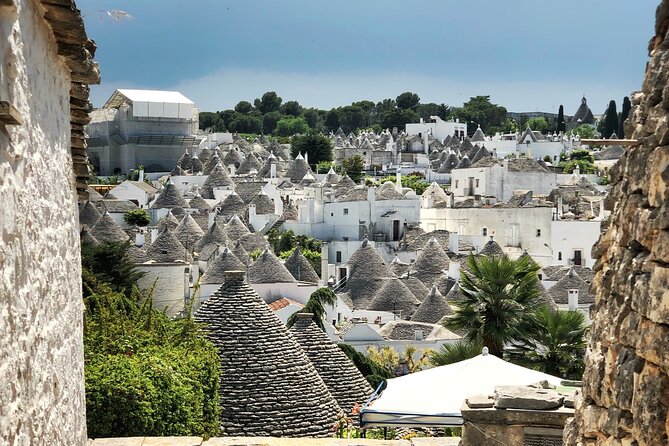 Alberobello : Group or Private Walking Tour & Olive Oil Tasting - Why Alberobello’s trulli are worth your time