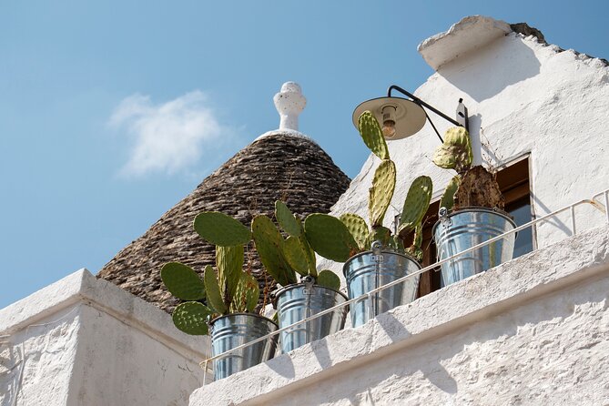 Alberobello : Group or Private Walking Tour & Olive Oil Tasting - Starting at Terra Mossa in Alberobello