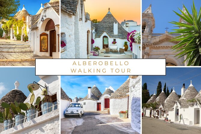 Alberobello : Group or Private Walking Tour & Olive Oil Tasting - Is $66.16 a fair price?