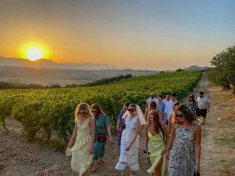 Alcamo: Natural Wine & Olive Oil Tasting - Sicily - What natural wine means here
