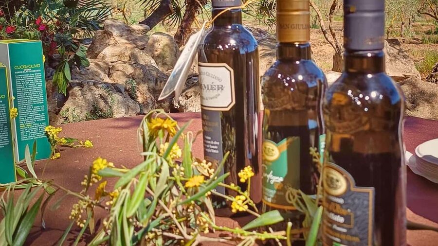 Alghero: Olive Grove Visit with Olive Oil Tasting - Walking into the olive grove near Alghero