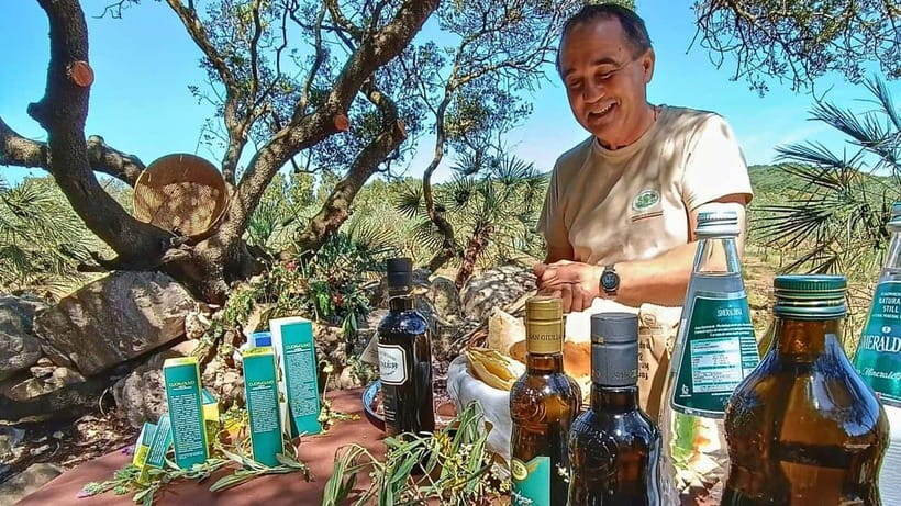 Alghero: Olive Grove Visit with Olive Oil Tasting - What the old olive trees add to the visit