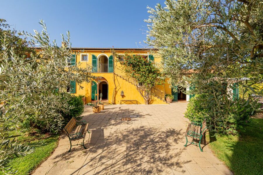 Alghero: Wine and Olive Oil Tasting at a Local Farm - The olive oil finish