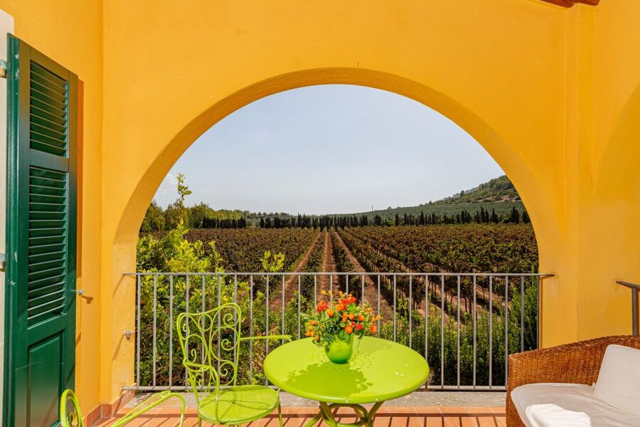 Alghero: Wine and Olive Oil Tasting at a Local Farm - What happens when you sit down