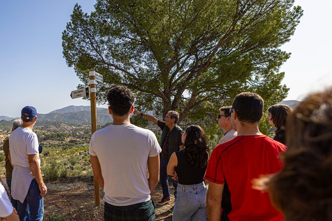 Alicante Olive Oil Tour - Walking among Alicante’s olive trees
