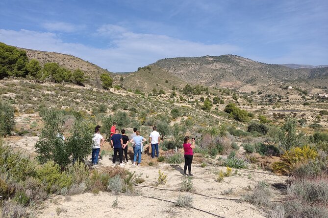 Alicante Olive Oil Tour - Is $193.49 a fair price?