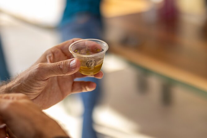 Alicante Olive Oil Tour - Timing, weather, and cancellation details