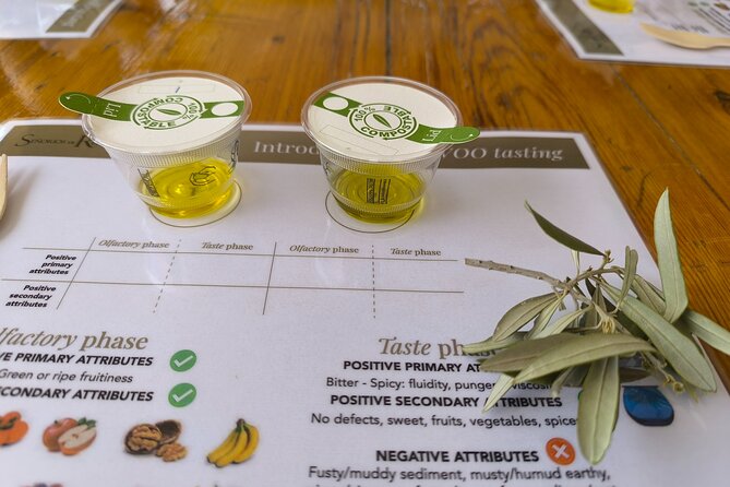 Alicante Olive Oil Tour - Should you book the Alicante olive oil tour?