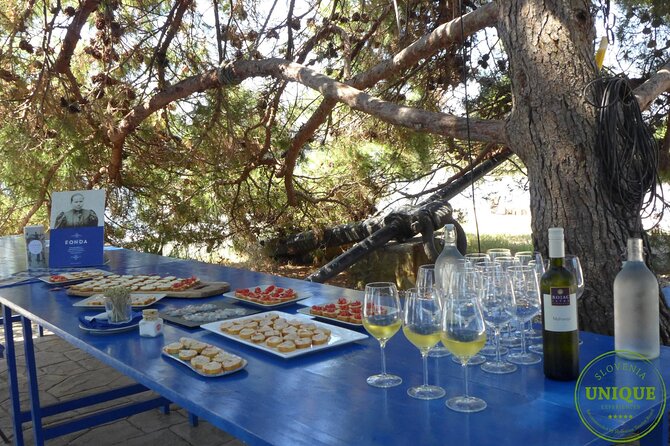 An Unforgettable Day With Fish, Wine and Olive Oil Tasting - Wine, Olive Oil, and a Simple Local Tasting