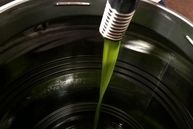 Apprentice Olive Oil taster for a day! - Walking through the organic olive groves
