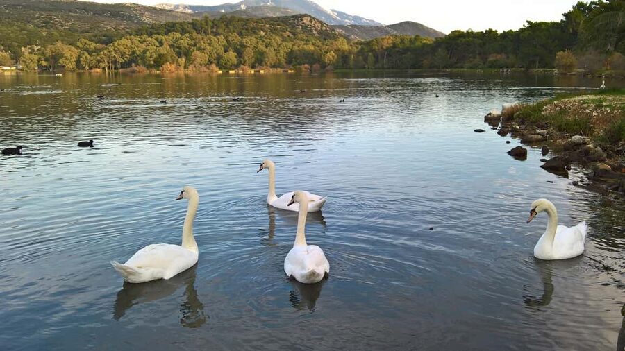 Argostoli & Beyond: Culture, Villages, Olive Oil & Honey - Katavothres and the underground seawater mystery