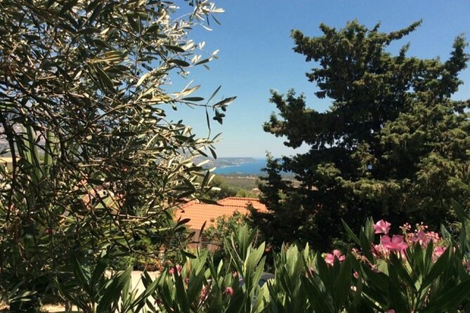 Argostoli & Beyond: Villages, Olive Oil & Honey Tasting - Why the sinkholes are a smart first stop