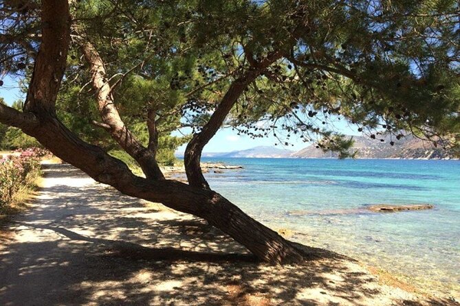 Argostoli & Beyond: Villages, Olive Oil & Honey Tasting - Agios Gerasimos Monastery and the island’s spiritual side