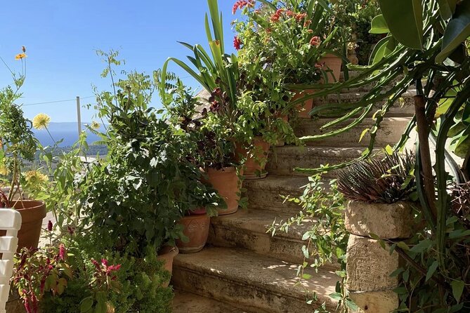 Argostoli & Beyond: Villages, Olive Oil & Honey Tasting - Koutavos Lagoon closes the loop