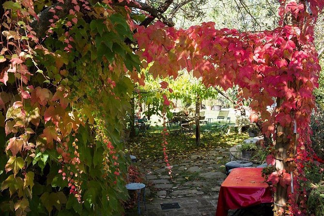 Assisi, Deruta & organic gourmet lunch at the olive oil farmhouse from SIENA - Deruta ceramics and the Ubaldo Grazia factory