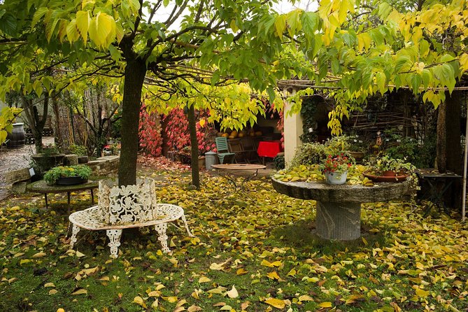 Assisi, Deruta & organic gourmet lunch at the olive oil farmhouse from SIENA - What the private vehicle adds
