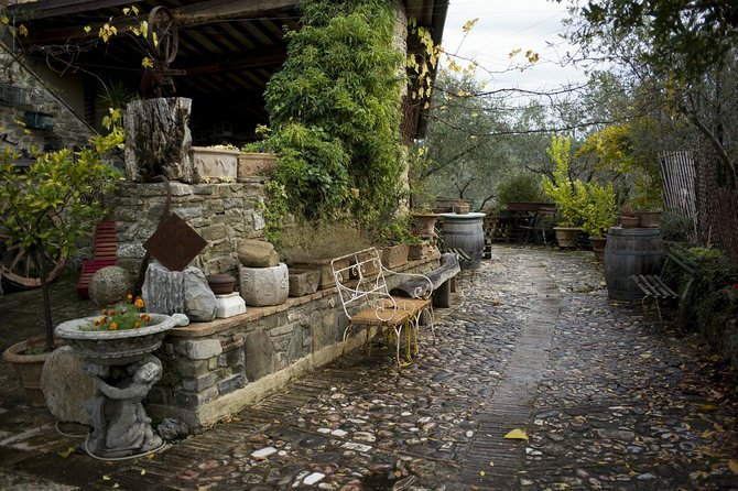 Assisi, Deruta & organic gourmet lunch at the olive oil farmhouse from SIENA - Who will enjoy this day most?