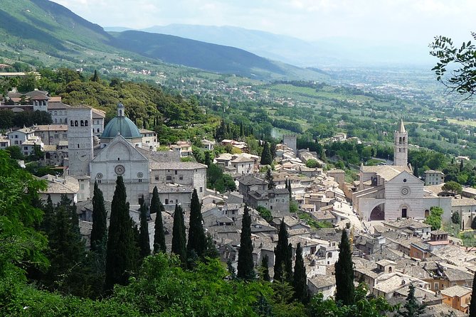 Assisi, Deruta & organic gourmet lunch at the olive oil farmhouse from SIENA - Small details to settle before booking