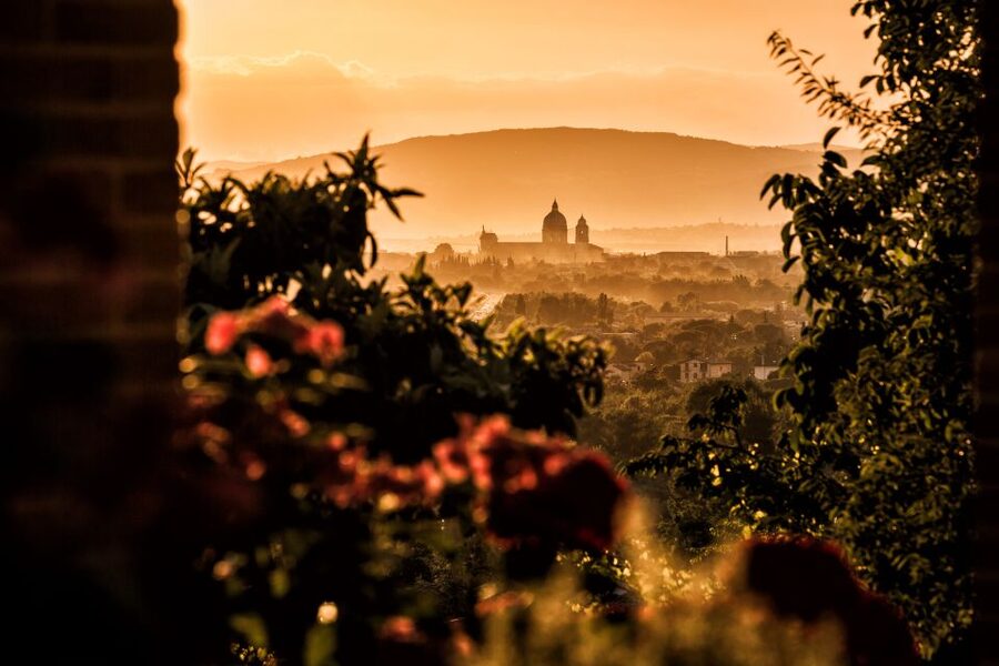 Assisi: Organic Balsamic Vinegar, Olive Oil & Wine Tour - Key points to know before booking