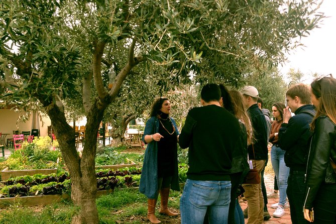 ATHENS OLIVE ESTATE - Olive Oil Workshop with Farm-to-Fork Lunch - A three-course lunch beside the sea