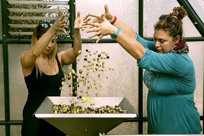 ATHENS OLIVE ESTATE - Olive Oil Workshop with Farm-to-Fork Lunch - Who will enjoy this private farm outing