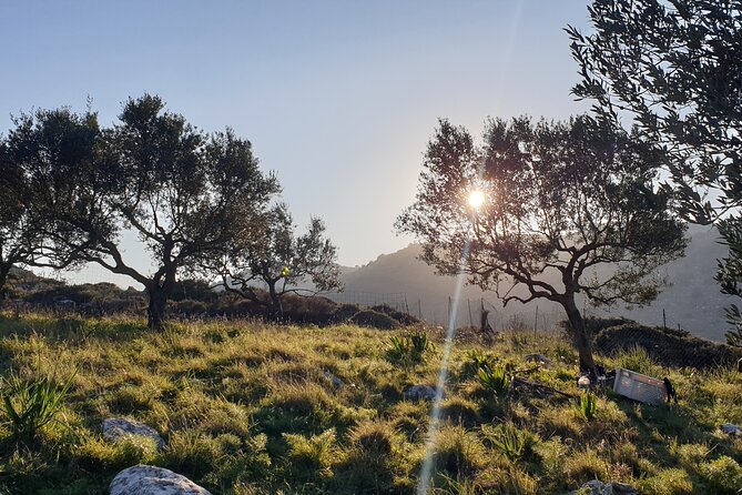 Authentic Olive Oil and Cultural Experience in Crete - Why Kritsa makes a good setting for an olive oil day