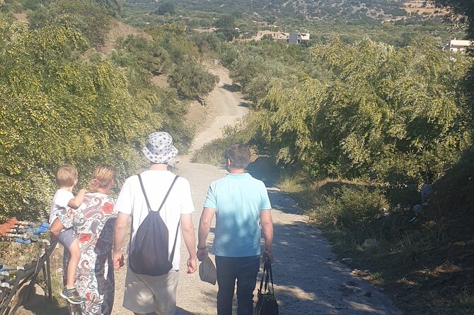 Authentic Olive Oil and Cultural Experience in Crete - Walking among the olive groves