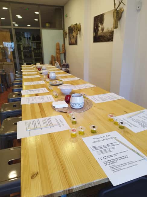 Baeza: Olive Oil Tasting Experience - Starting at La Casa del Aceite in Plaza de la Constitución