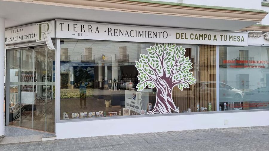 Baeza: Visit to an Organic Olive Grove + Oil Tasting - Why this olive grove visit matters in Jaén