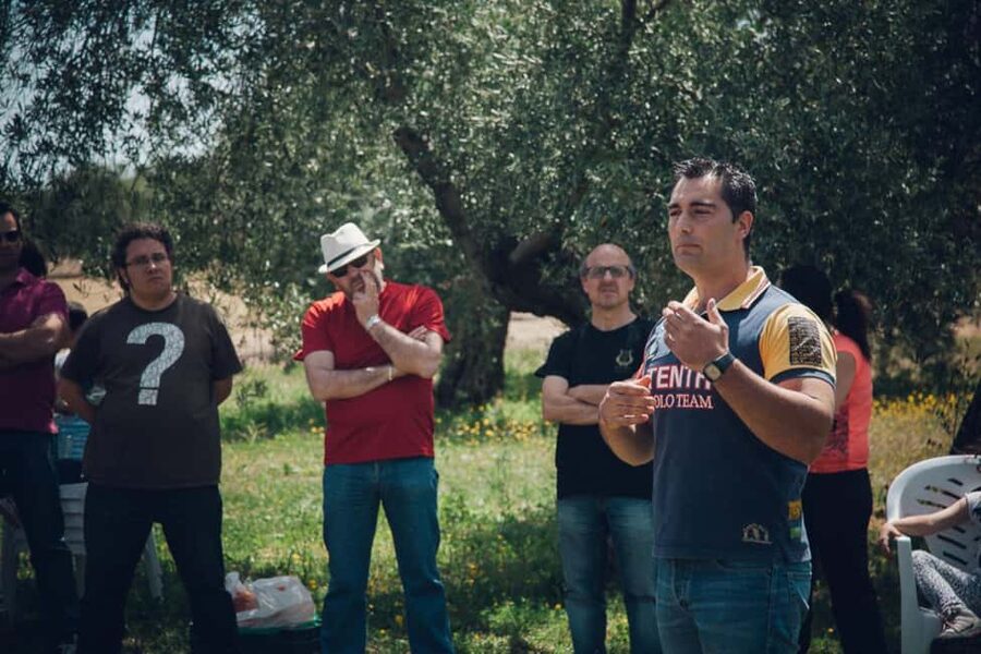 Baeza: Visit to an Organic Olive Grove + Oil Tasting - Walking among the organic olive trees