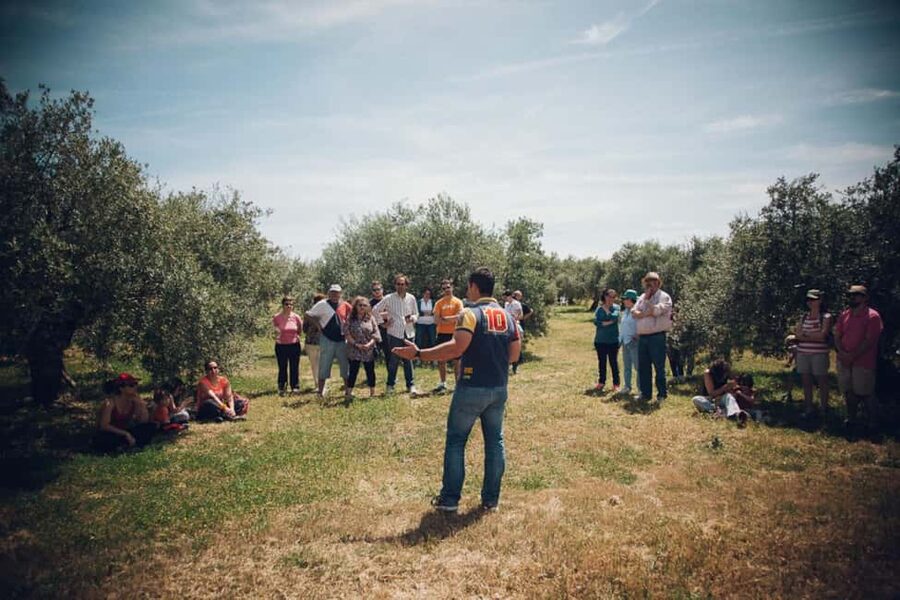 Baeza: Visit to an Organic Olive Grove + Oil Tasting - Tasting organic extra virgin olive oil with ochío