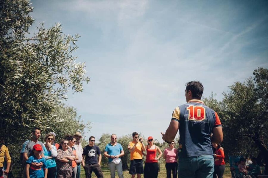 Baeza: Visit to an Organic Olive Grove + Oil Tasting - Practical details that can make the visit smoother