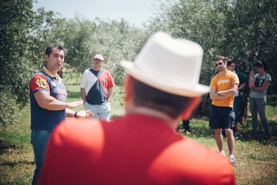 Baeza: Visit to an Organic Olive Grove + Oil Tasting - My call: book it if you want the story behind the bottle