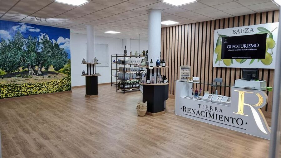 Baeza: Visit to an Organic Olive Grove + Oil Tasting - Starting at Tierra de Renacimiento in Baeza