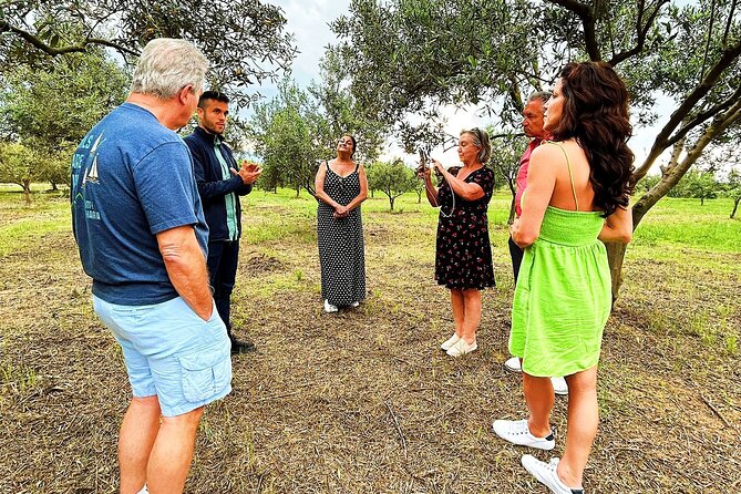 Balestrate Olive Grove Tour: Wine and Olive Oil Tasting - How the two-hour schedule works