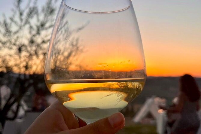 Balestrate Olive Grove Tour: Wine and Olive Oil Tasting - Price and value at $67.72
