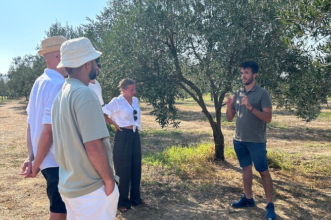 Balestrate Olive Grove Tour: Wine and Olive Oil Tasting - The tasting table: oil, wine, vinegar, and limoncello