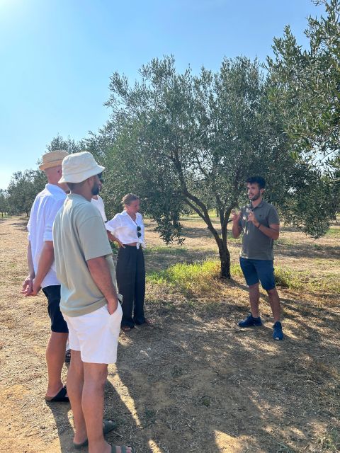 Balestrate: Olive Grove Tour with Wines & Olive Oil Tasting - Who will enjoy this experience most