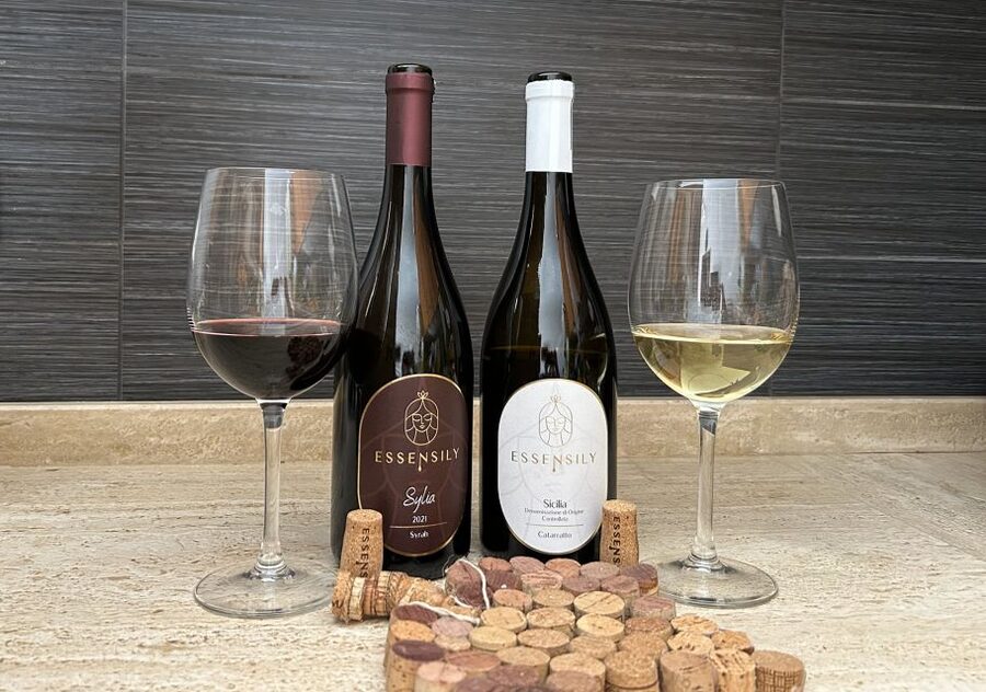 Balestrate: Olive Grove Tour with Wines & Olive Oil Tasting - Should you book the Balestrate olive grove tour?