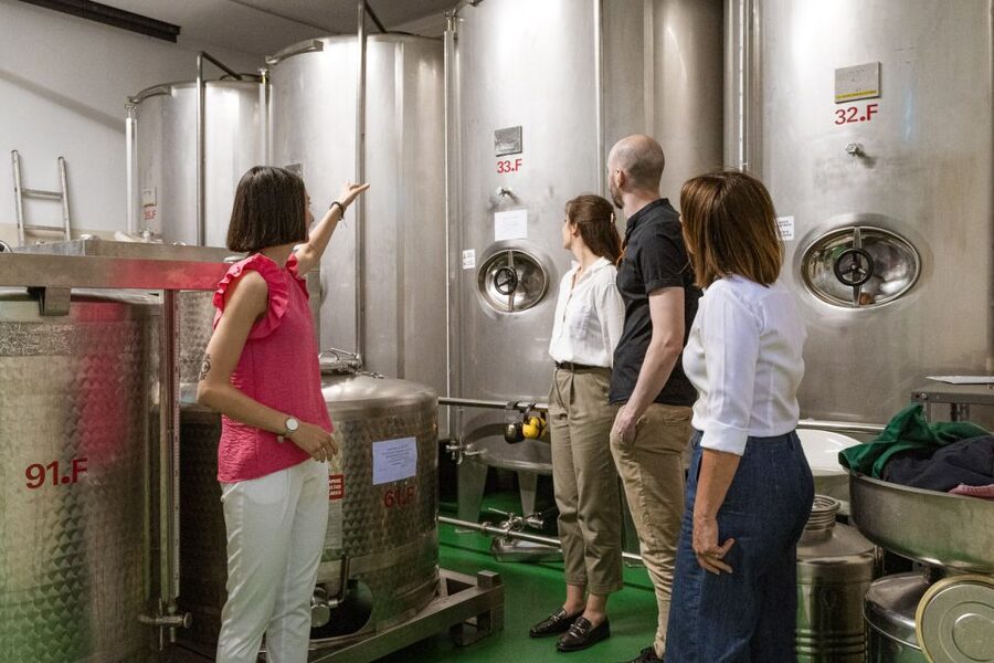 Bardolino: Lake Garda Oil Mill Tour with Olive Oil Tasting - Arriving at the Olio Viola mill