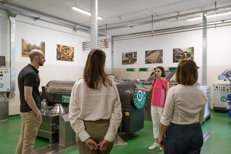 Bardolino: Lake Garda Oil Mill Tour with Olive Oil Tasting - Booking advice for a smooth visit