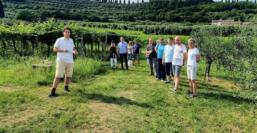 Bardolino: Vineyard Tour with Wine, Olive Oil & Food Tasting - A family vineyard on the Rocca del Garda